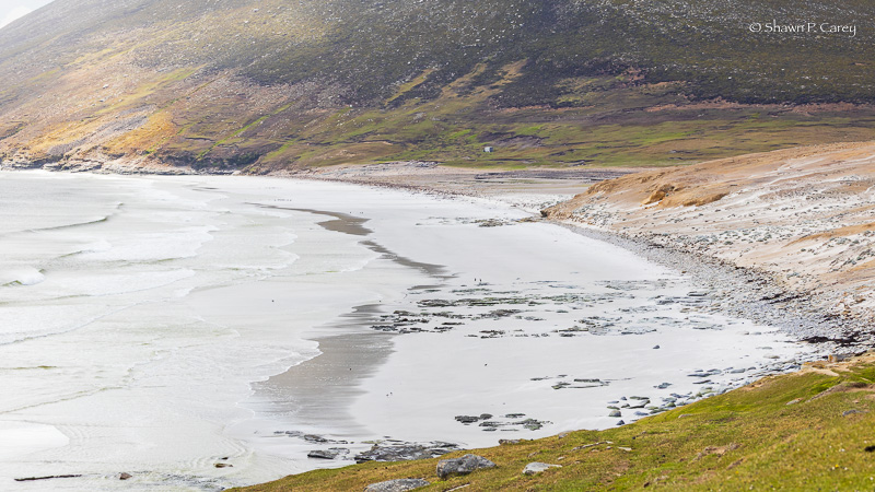 The Neck - Saunders Island